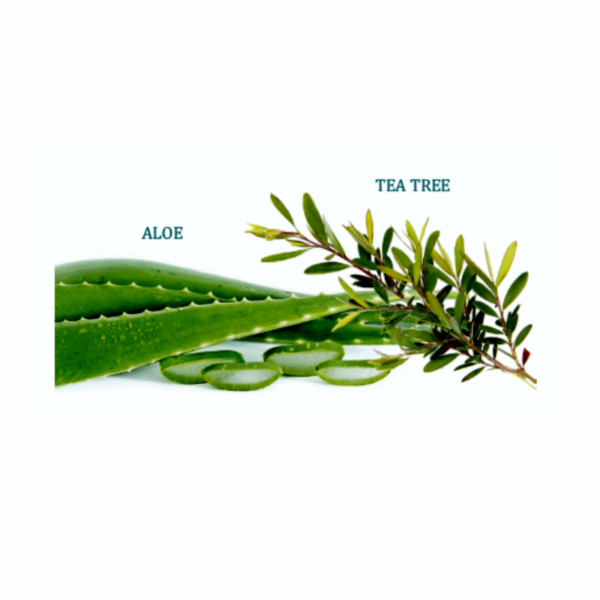 Refreshing Shampoo da ml.250 con Aloe Vera & Tea Tree per tutti i manti - immagine 2