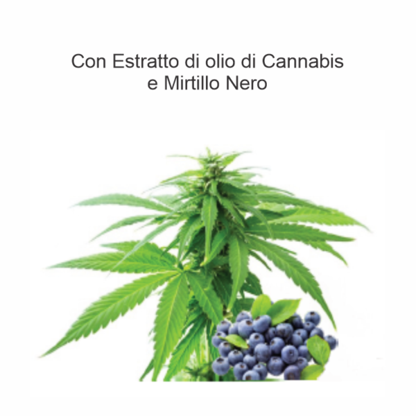 Smooth Shampoo ml.250 Con estratto di olio di Cannabis & Mirtillo Nero - immagine 2