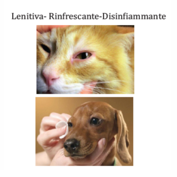 Lozione Oftalmica  ml.100 uso esterno per cani e gatti - immagine 2