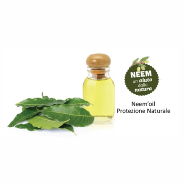 Protection Shampoo da ml.250 all'olio di Neem Sgradevole a Parassiti e insetti - immagine 2