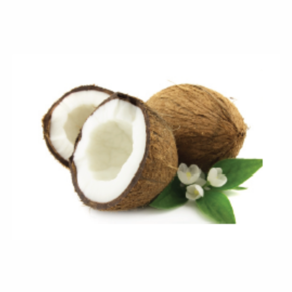 Shampoo & Balsamo  2 in 1   da 500 ml al Cocco per cani a manto lungo - immagine 2
