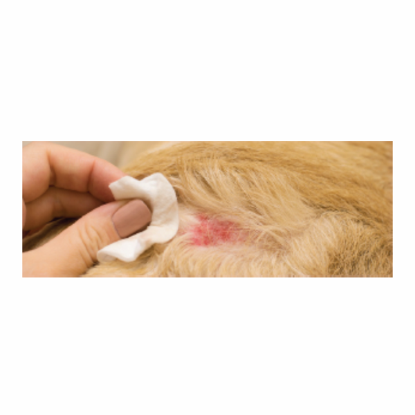 Dermo Ribes Integratore naturale per cani e gatti - immagine 2