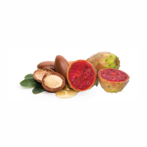 Sinergy  Shampoo da ml.250 con Argan ed estratto di Fico d'India , per tutti i manti , illuminante - immagine 2